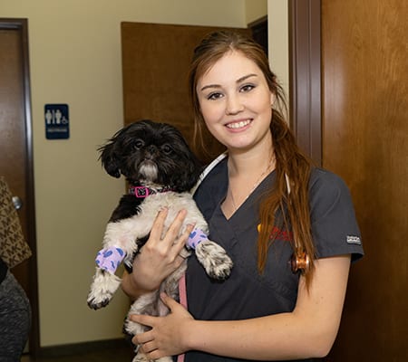 a veterinary team member holding a dog