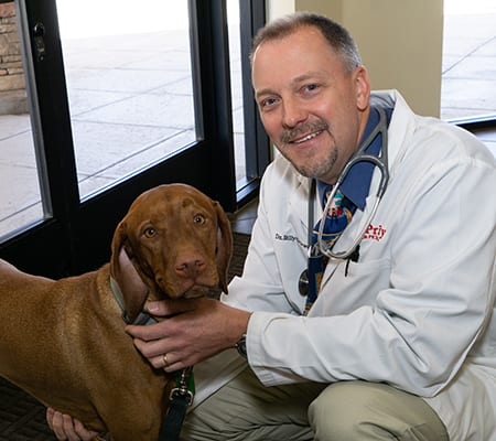 a doctor kneeling down next to a dog by a door